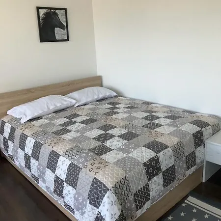 Blue Moon Apartment